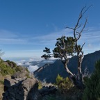 Madeira_ 174.jpeg