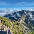 Madeira_ 179.jpeg