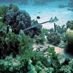 Marsa Alam 200206.jpg