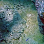 Marsa Alam 200211.jpg