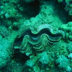 Marsa Alam 200212.jpg