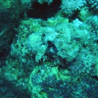 Marsa Alam 200213.jpg