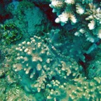 Marsa Alam 200216.jpg