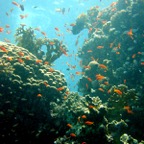 Marsa Alam 200219.jpg
