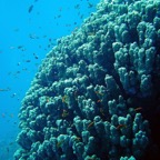 Marsa Alam 200224.jpg