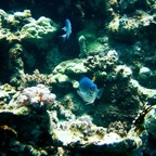 Marsa Alam 200227.jpg