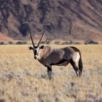 Namibia078.jpg