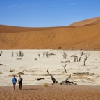 Namibia099.jpg