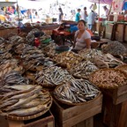 PhilippinenAnda - 44.jpg
