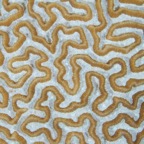 PhilippinenAnda - 50.jpg
