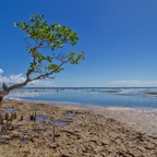 PhilippinenAnda - 91.jpg