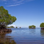 PhilippinenAnda - 96.jpg