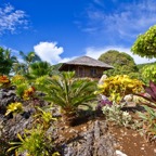 PhilippinenAnda - 109.jpg