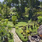 Bohol52.jpg