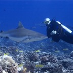 Französisch Polynesien 2008006.jpg