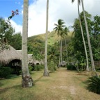 Französisch Polynesien 2008011.jpg