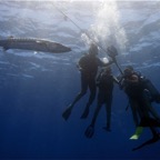 Französisch Polynesien 2008022.jpg