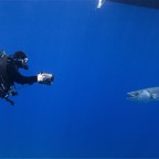 Französisch Polynesien 2008040.jpg