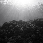 Französisch Polynesien 2008065.jpg