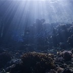 Französisch Polynesien 2008066.jpg