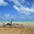 Französisch Polynesien 2008068.jpg