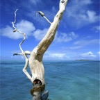 Französisch Polynesien 2008088.jpg