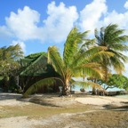 Französisch Polynesien 2008099.jpg