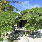 Französisch Polynesien 2008100.jpg