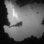 Raja Ampat 201131.jpg