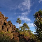 Raja Ampat 201150.jpg