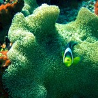 Seychellen 200210.jpg