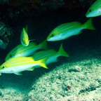 Seychellen 200211.jpg