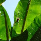 Seychellen 200216.jpg