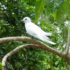 Seychellen 200221.jpg