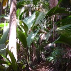 Seychellen 200224.jpg