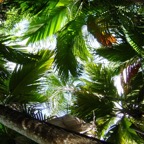 Seychellen 200225.jpg