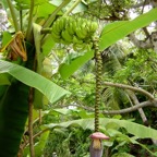 Seychellen 200229.jpg