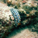 Seychellen 200236.jpg