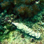 Seychellen 200237.jpg