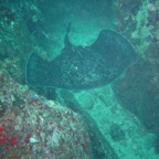 Seychellen 200239.jpg