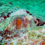 Seychellen 200241.jpg