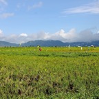 Siladen061.jpg