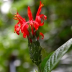 Singapur 201234.jpg