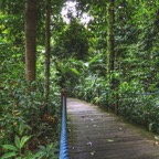 Singapur 201237.jpg