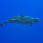 Socorro - 31.jpg