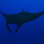 Socorro - 48.jpg