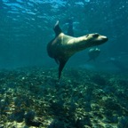 Socorro - 54.jpg