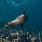 Socorro - 58.jpg