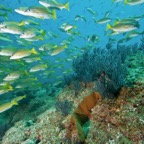 Socorro - 59.jpg