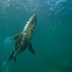 Socorro - 62.jpg